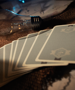 Fox Targets Playing Cards Card back